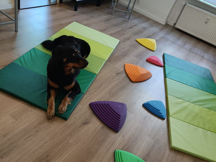 Foto: Emma mit Balancespiel Flusssteine